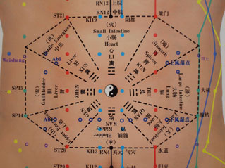 Ba Kuo Chart of Zang Fu Organs System - Copyright – Stock Photo / Register Mark