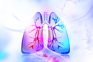 lungs - Copyright – Stock Photo / Register Mark