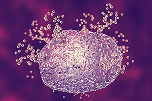 mast cells - Copyright – Stock Photo / Register Mark