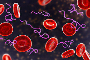 infections - Copyright – Stock Photo / Register Mark