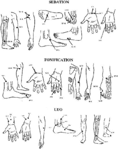 Diagram showing sedation, tonification and luo points. - Copyright – Stock Photo / Register Mark