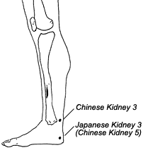 Chinese and Japanese point locations of Kidney 3. - Copyright – Stock Photo / Register Mark