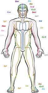 acu points - Copyright – Stock Photo / Register Mark