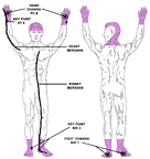 minor chakra acupoints - region 1 - Copyright – Stock Photo / Register Mark