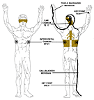 minor chakra acupoints - region 5 - Copyright – Stock Photo / Register Mark