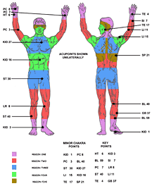 minor chakra acupoints - Copyright – Stock Photo / Register Mark