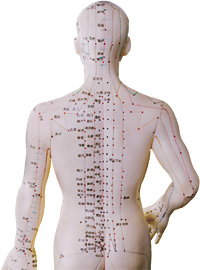 Acupuncture Points - Copyright – Stock Photo / Register Mark