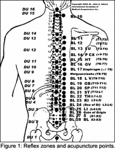 Chart of reflex zones and acupuncture points. - Copyright – Stock Photo / Register Mark