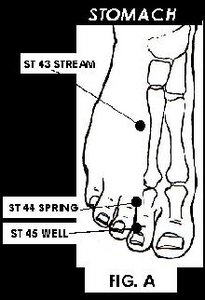 Illustration of Acupuncture points. - Copyright – Stock Photo / Register Mark