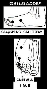 Illustration of Acupuncture points. - Copyright – Stock Photo / Register Mark