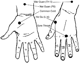 Illustration showing hand and wrist acupuncture points. - Copyright – Stock Photo / Register Mark