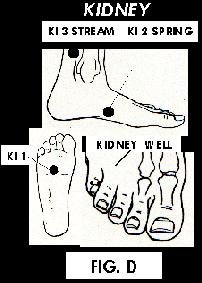 Illustration of Acupuncture points. - Copyright – Stock Photo / Register Mark