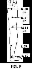 Illustration of Acupuncture points. - Copyright – Stock Photo / Register Mark