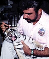 Dr. Amaro treating a Siberian tiger. - Copyright – Stock Photo / Register Mark