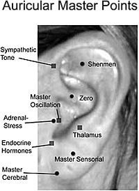 Auricular Master Points - Copyright – Stock Photo / Register Mark