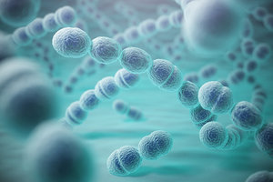 bacteria - Copyright – Stock Photo / Register Mark