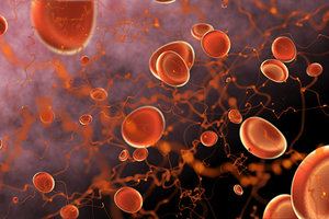 blood cells - Copyright – Stock Photo / Register Mark