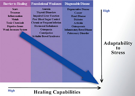healing capabilities - Copyright – Stock Photo / Register Mark