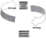 Emotional generation/damage cycle. - Copyright – Stock Photo / Register Mark