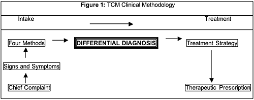 TCM Clinical Methodology - Copyright – Stock Photo / Register Mark