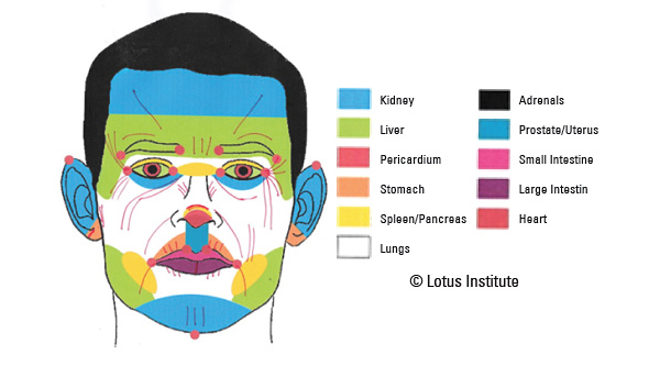 face marking - Copyright – Stock Photo / Register Mark