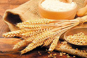 grains - Copyright – Stock Photo / Register Mark