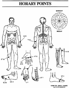 Horary point chart. - Copyright – Stock Photo / Register Mark