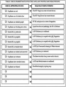 Table of Capillary Profiles. - Copyright – Stock Photo / Register Mark