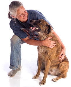 old lady and dog - Copyright – Stock Photo / Register Mark