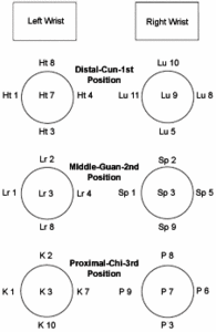 Diagram showing needling of points on the heart, lung, liver, spleen, kidney and pericardium meridians. - Copyright – Stock Photo / Register Mark