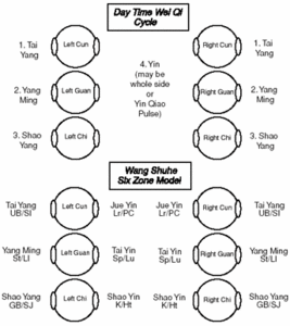 The daytime wei qi and Wang Shuhe's six zone model. - Copyright – Stock Photo / Register Mark