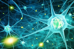 neuroimmunology - Copyright – Stock Photo / Register Mark