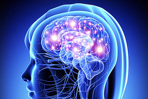 neuroscience - Copyright – Stock Photo / Register Mark