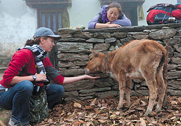 Nomads with Needles - Copyright – Stock Photo / Register Mark