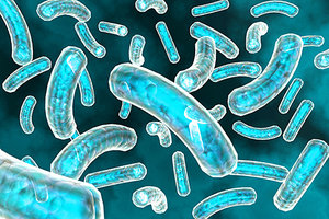 probiotics - Copyright – Stock Photo / Register Mark