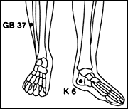 Bones of lower legs, ankles and feet. - Copyright – Stock Photo / Register Mark