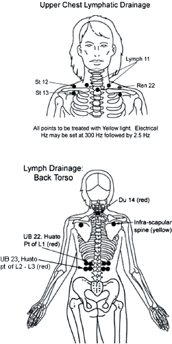 acu-points for lymphatic drainage - Copyright – Stock Photo / Register Mark