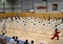 Chenshi Taichicise Centre during Wold Tai Chi & Qigong Day. - Copyright – Stock Photo / Register Mark