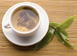 Cup of hot herbal tea. - Copyright – Stock Photo / Register Mark