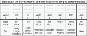 Eight <em>guas,</em> the five elements, and their associated <em>zang-fu</em> paired channels. - Copyright – Stock Photo / Register Mark