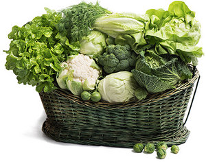 vegetable - Copyright – Stock Photo / Register Mark