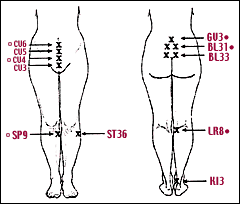 Acupoints used for the treatment of vulvar vestibulitis. - Copyright – Stock Photo / Register Mark